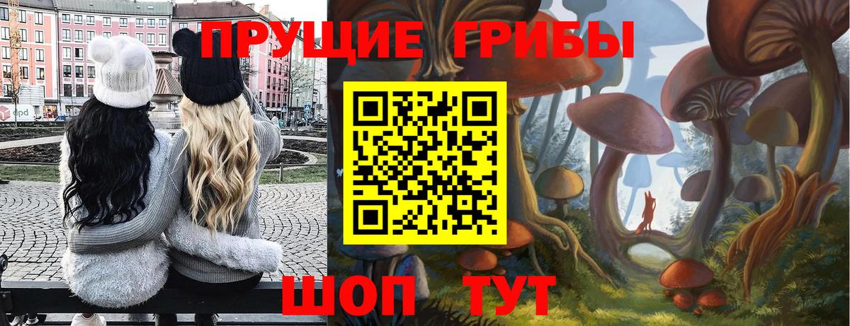 Галлюциногенные грибы GOLDEN TEACHER Канск